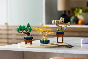 Mini Bonsai Trees 10373