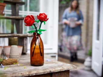Roses 40640
