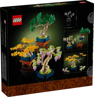 Mini Bonsai Trees 10373