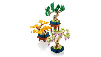 Mini Bonsai Trees 10373