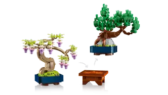 Mini Bonsai Trees 10373
