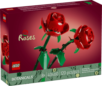 Roses 40640