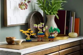 Mini Bonsai Trees 10373