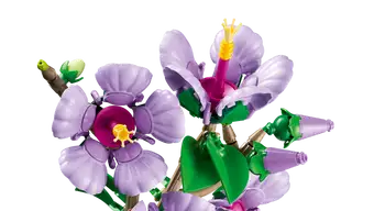 Hibiscus 10372