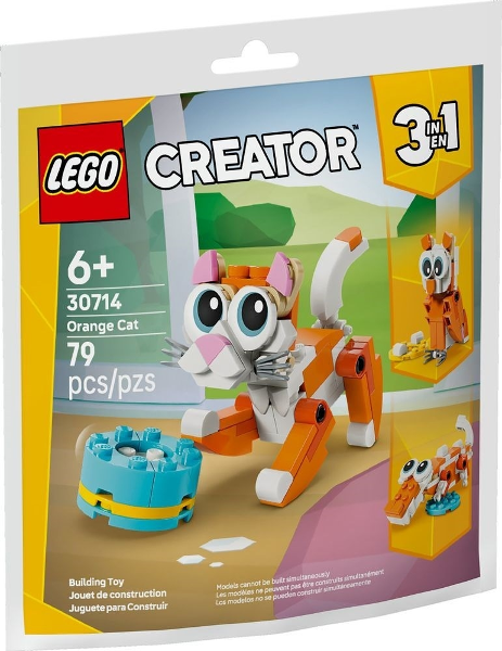Orange Cat 30714