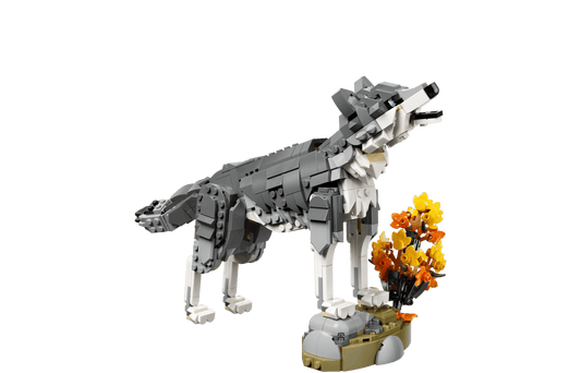 Forest Animals: Gray Wolf | 31393