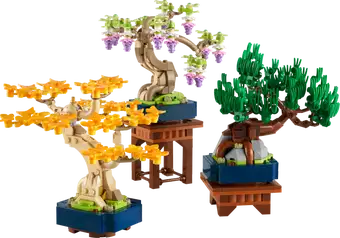 Mini Bonsai Trees 10373