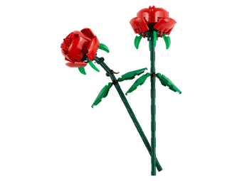 Roses 40640