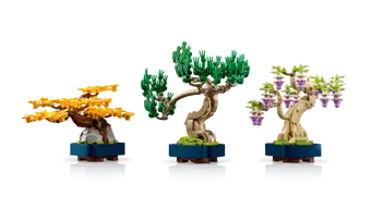 Mini Bonsai Trees 10373