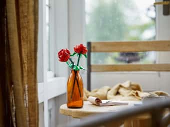 Roses 40640
