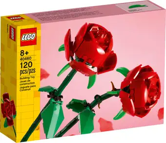 Roses 40460