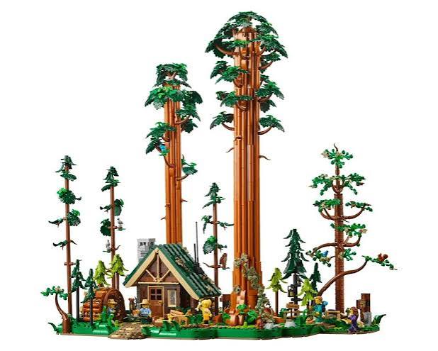 Sequoia Tree Trail 910058