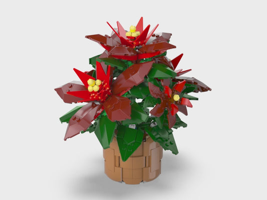 Poinsettia 10370