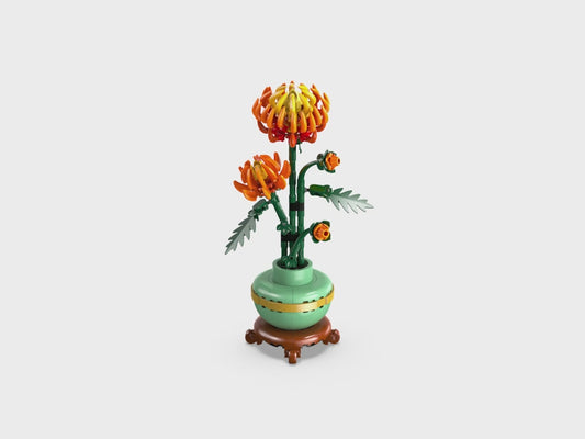 Chrysanthemum 10368