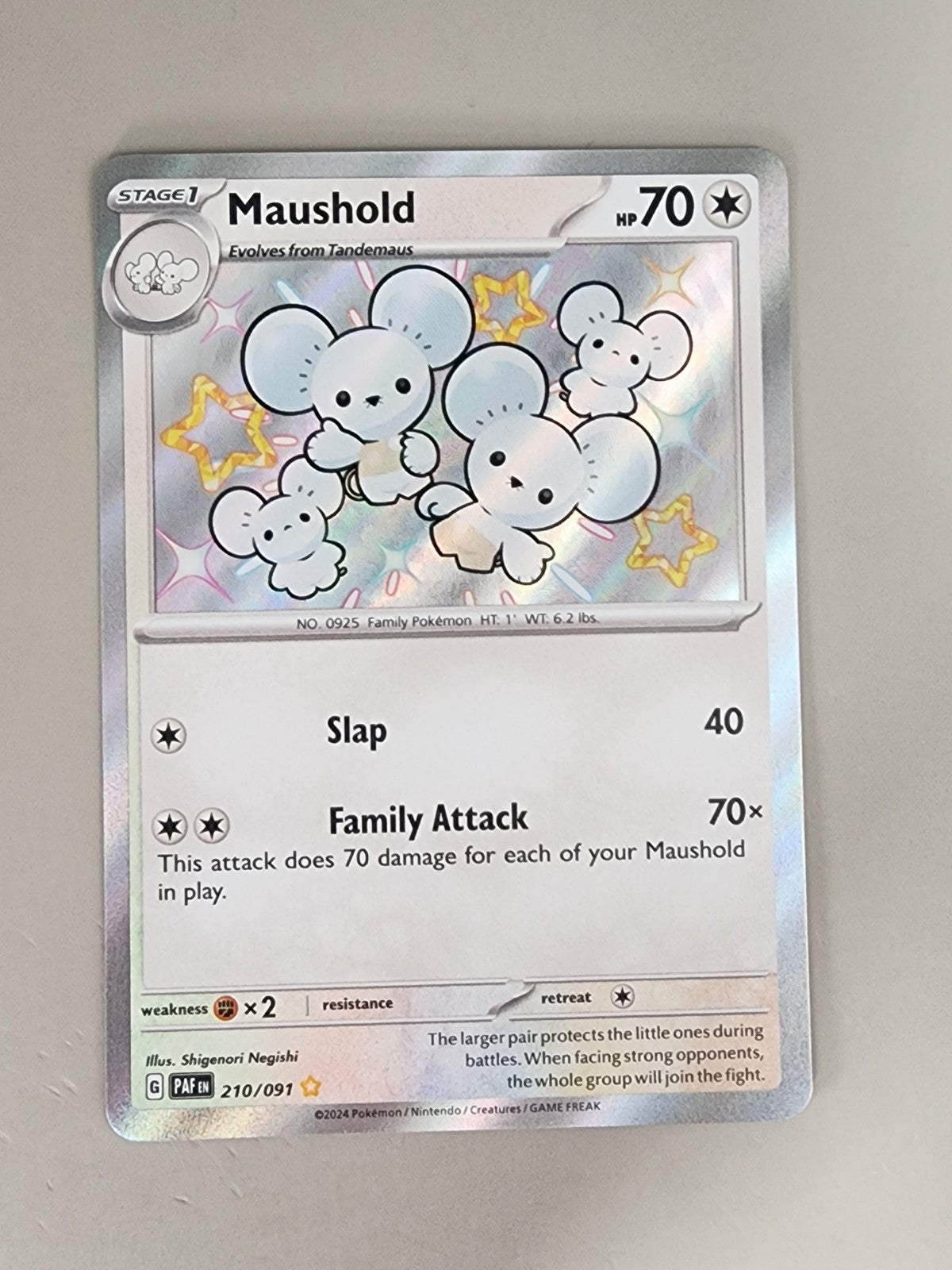 Maushold 210/091 Sv: Paldean Fates Holo NM