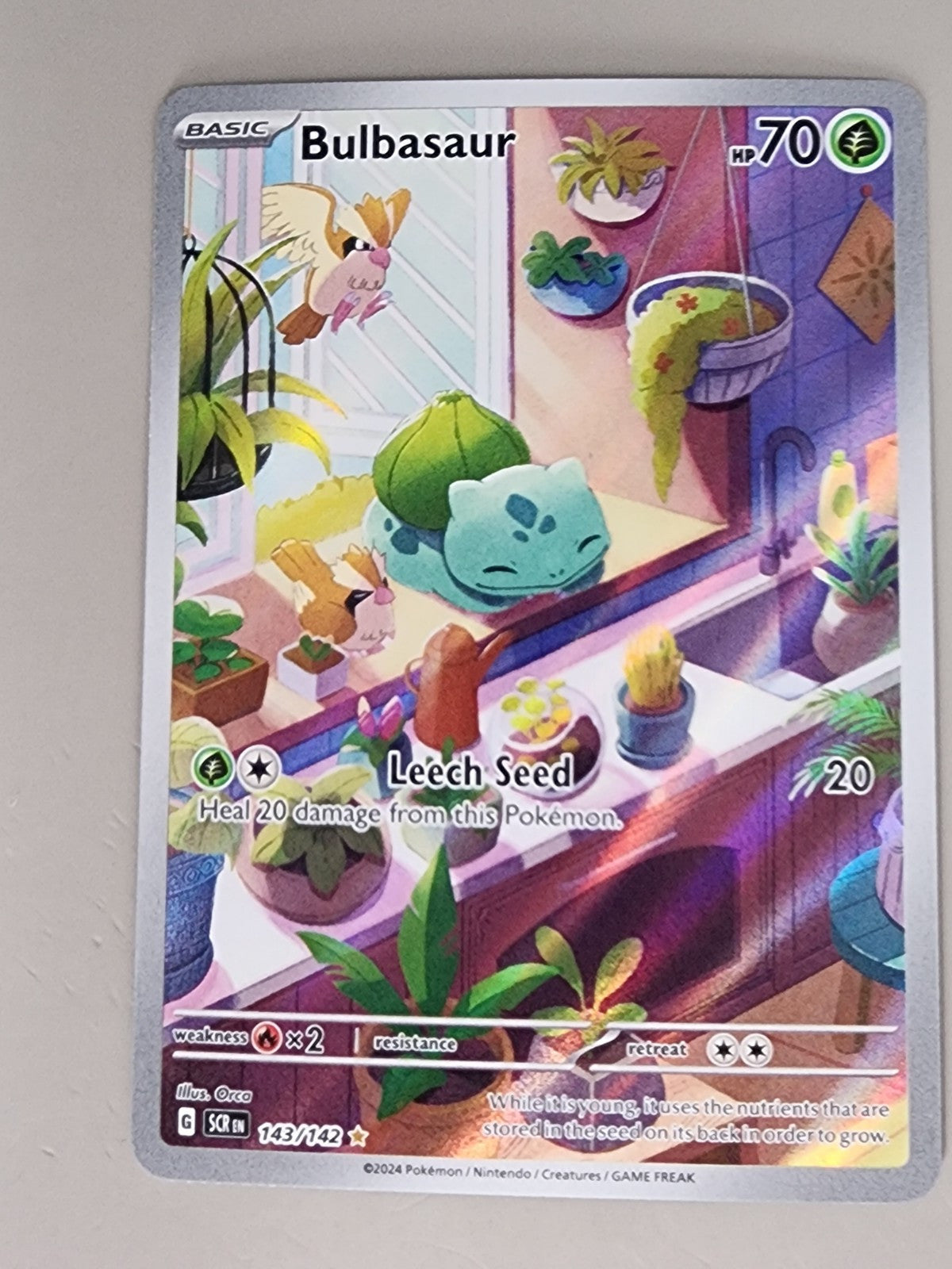 Bulbasaur 143/142 NM