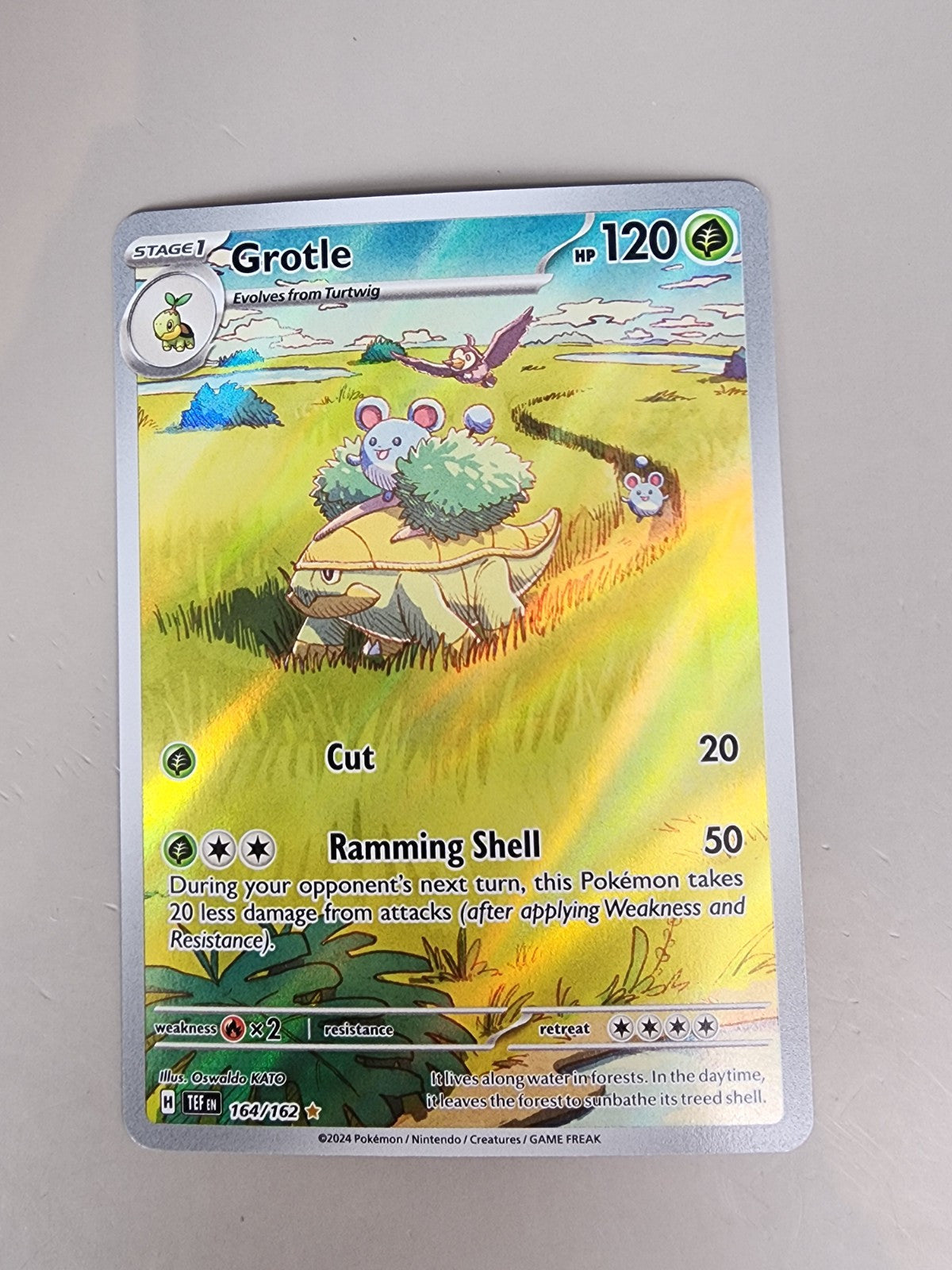 Grotle 164/162 Temporal Forces Holo NM