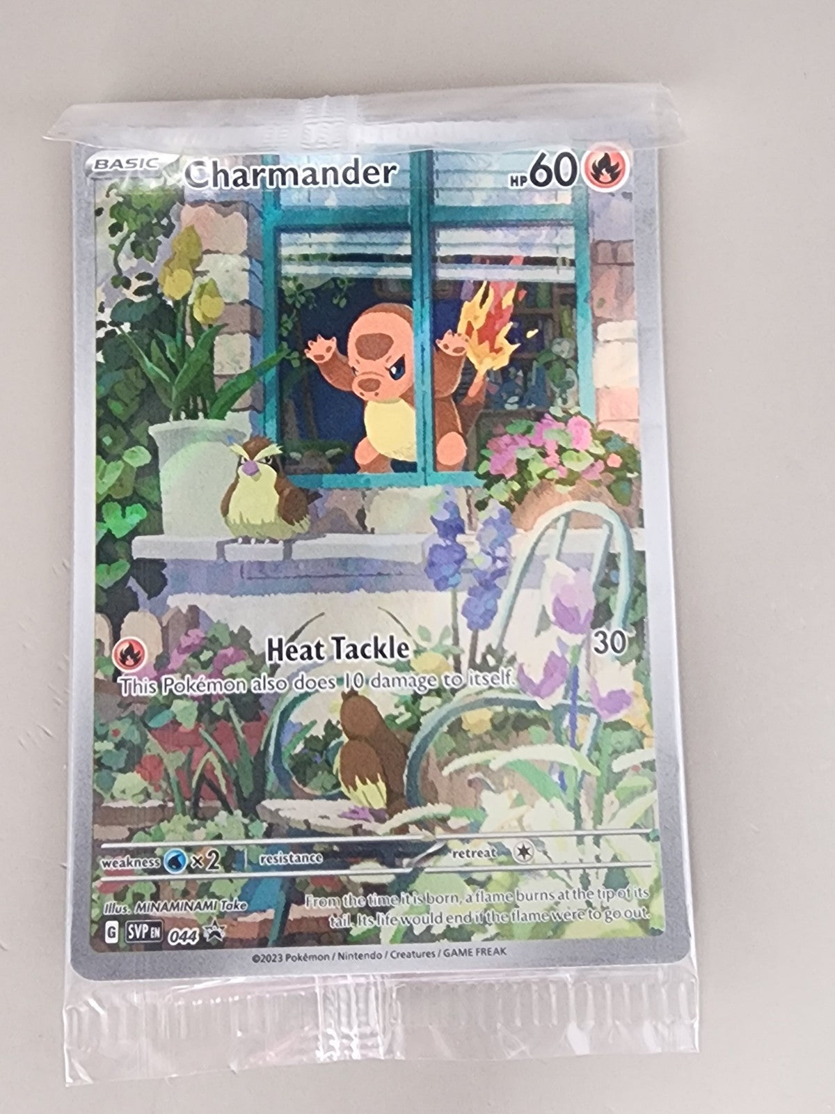 Charmander 044 Promo Sealed