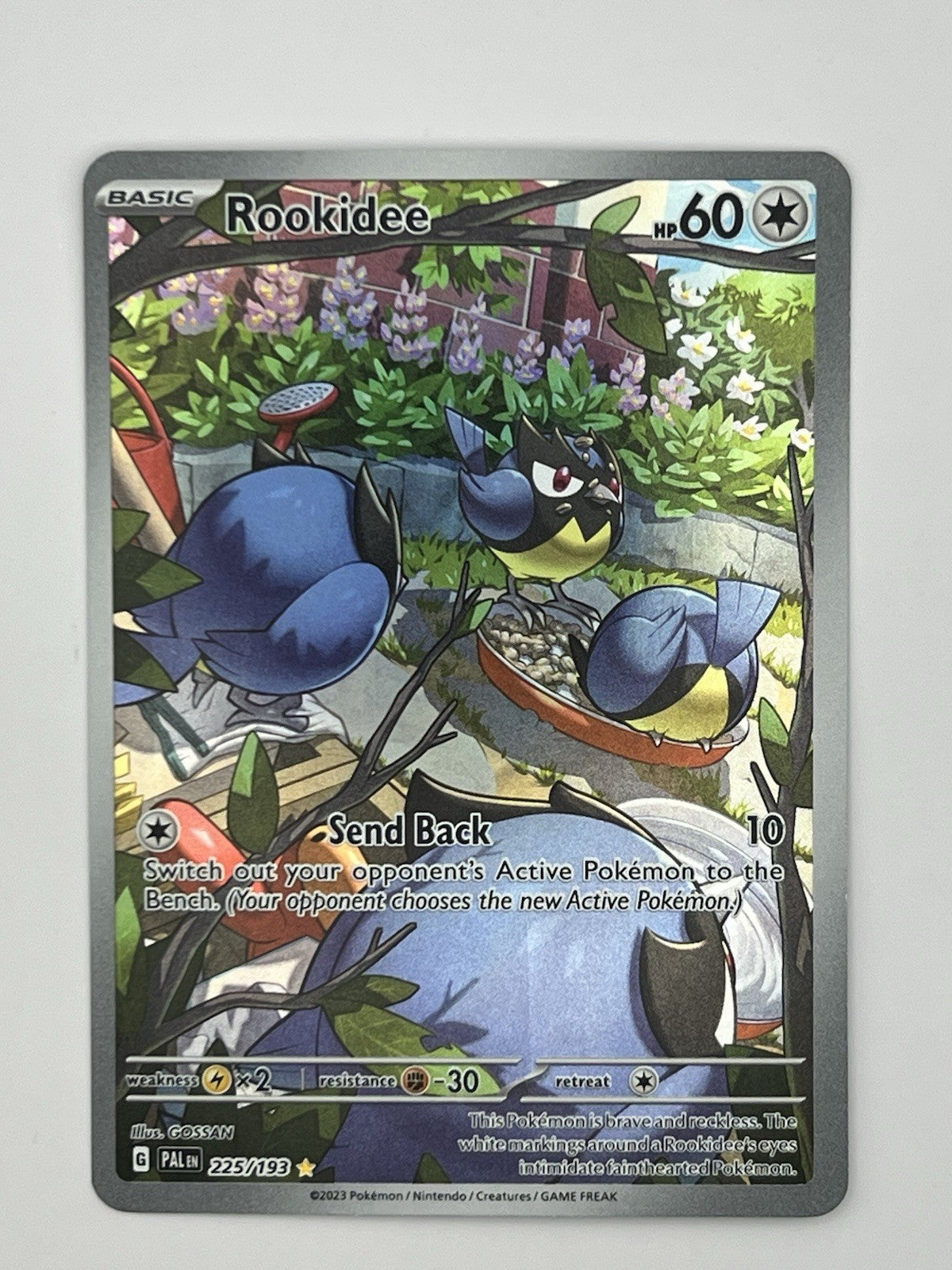 Rookidee 225/193 Sv02: Paldea Evolved Holo Near Mint (NM)